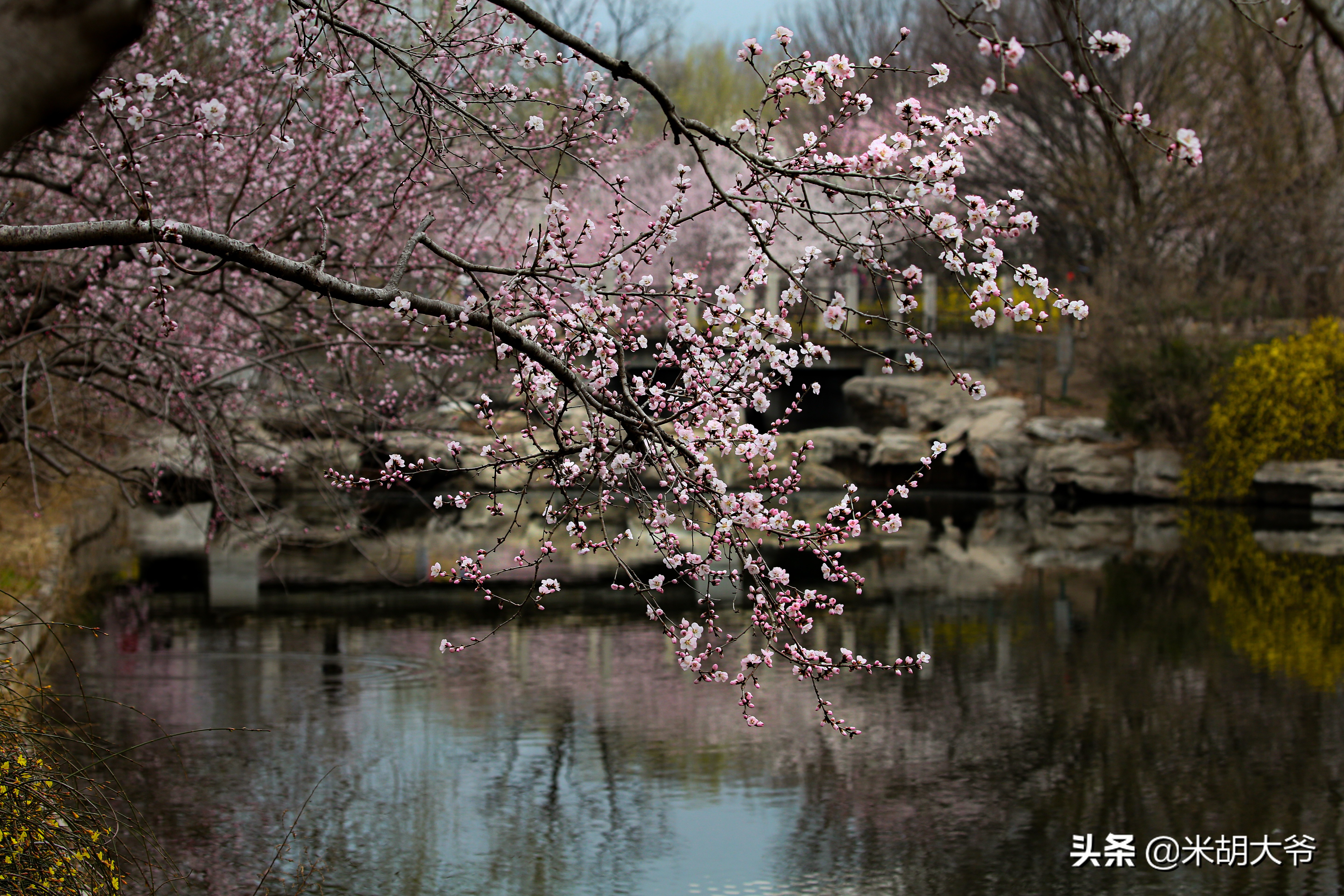 发说说的句子关于雨天配图「简短」 _qq说说网