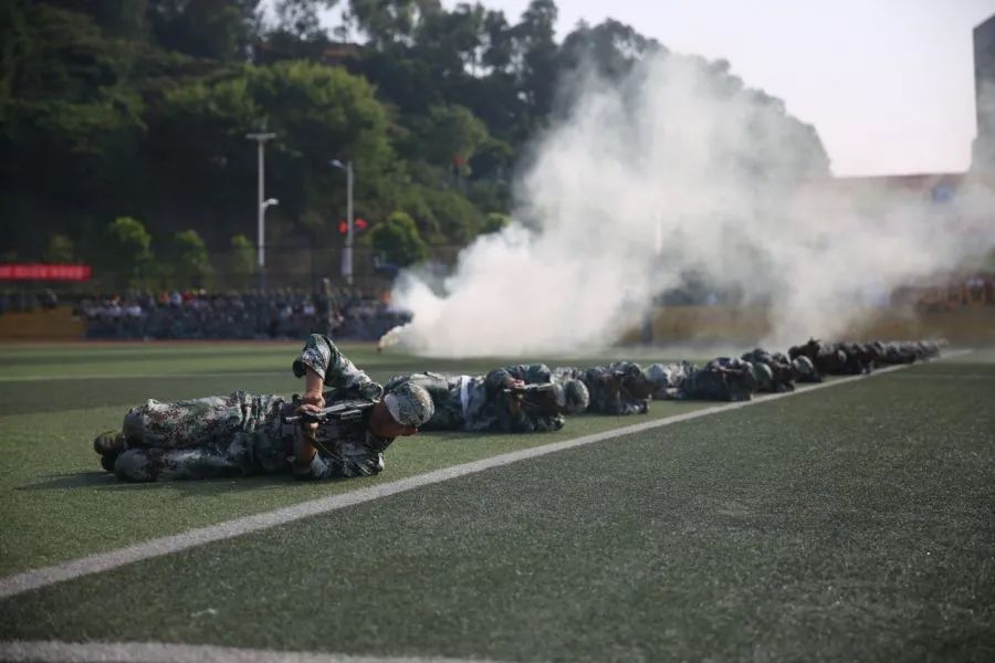 高职高考必看｜广东南方职业学院