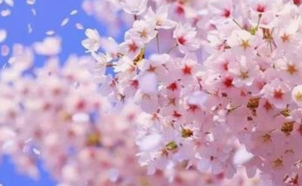 天津财经大学2018理科录取分数