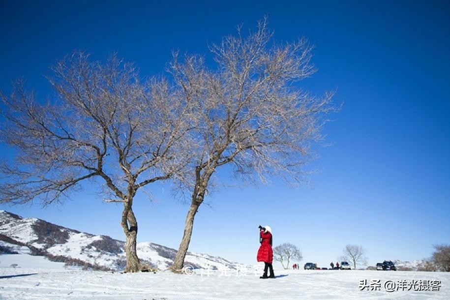 记忆里最美的冬日雪景，或许还是那片幽静美丽的白桦林