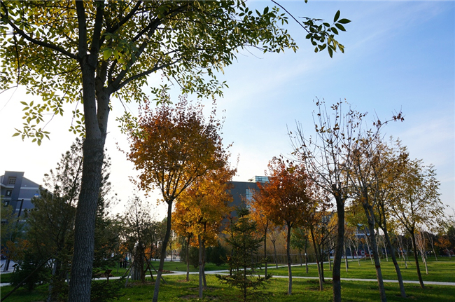 河北师范大学2020招生计划与招生录取快讯