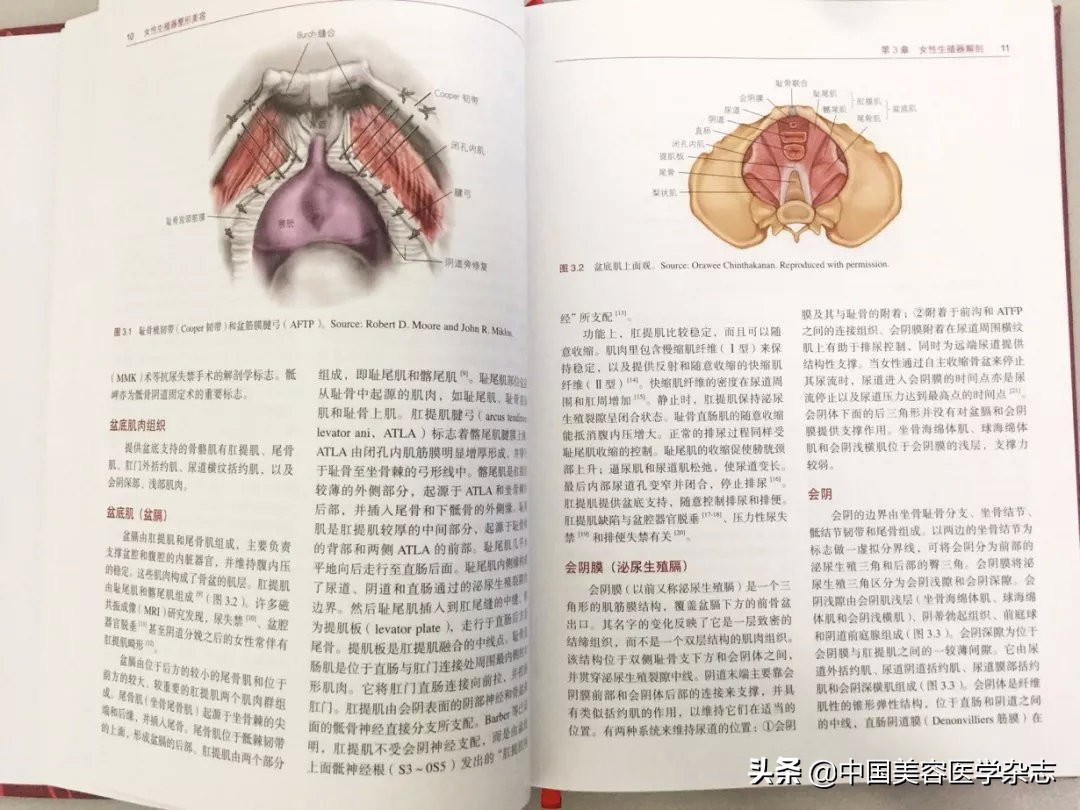 新书推荐 ▏陈敏亮教授主译《女性生殖器整形美容》
