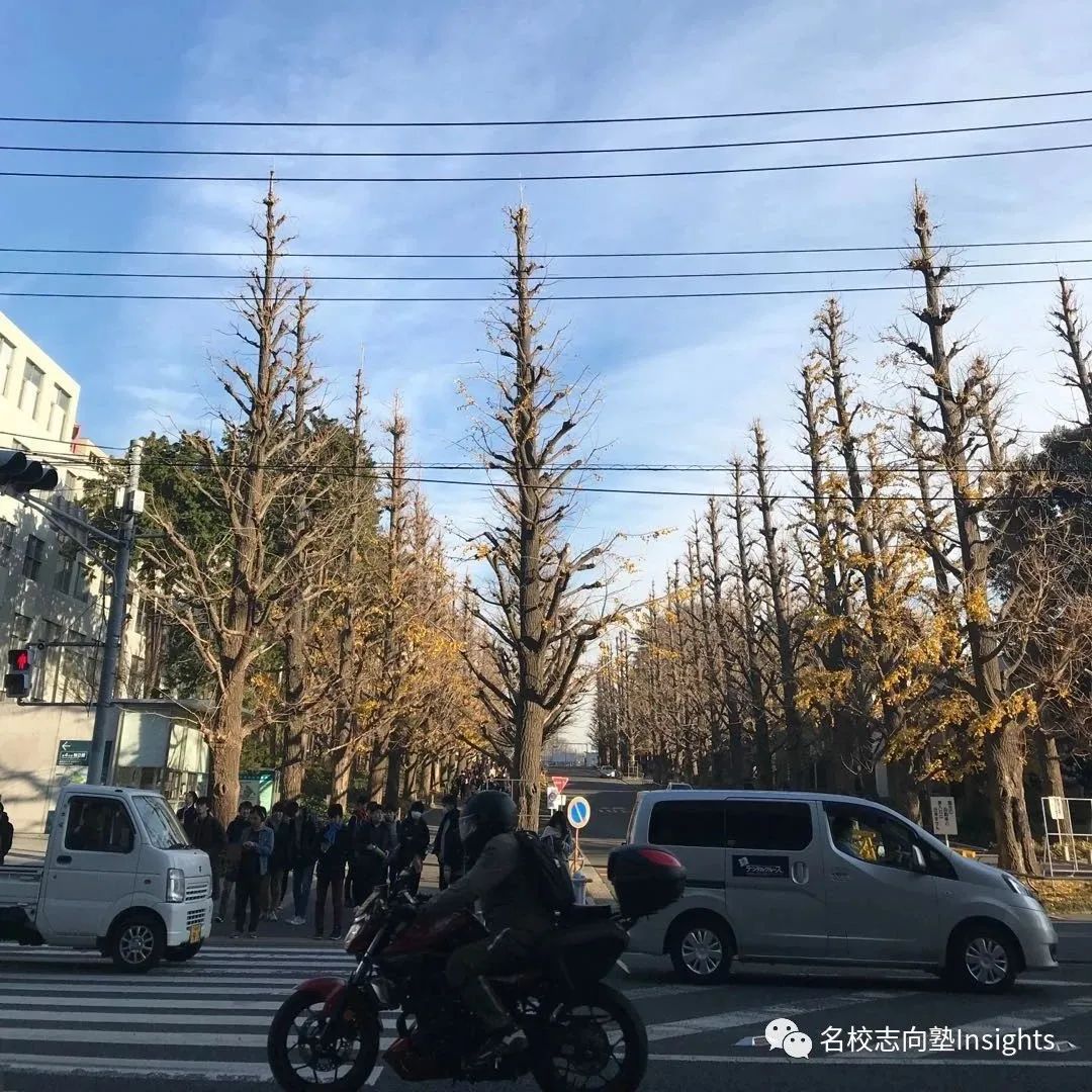 出愿TIPS丨庆应义塾大学学部综合报考指南