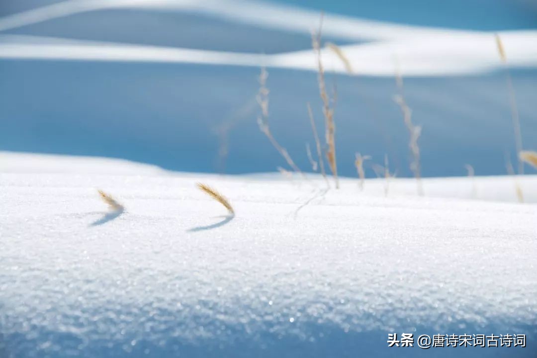 十月江南天气好，可怜冬景似春华——白居易《早冬》