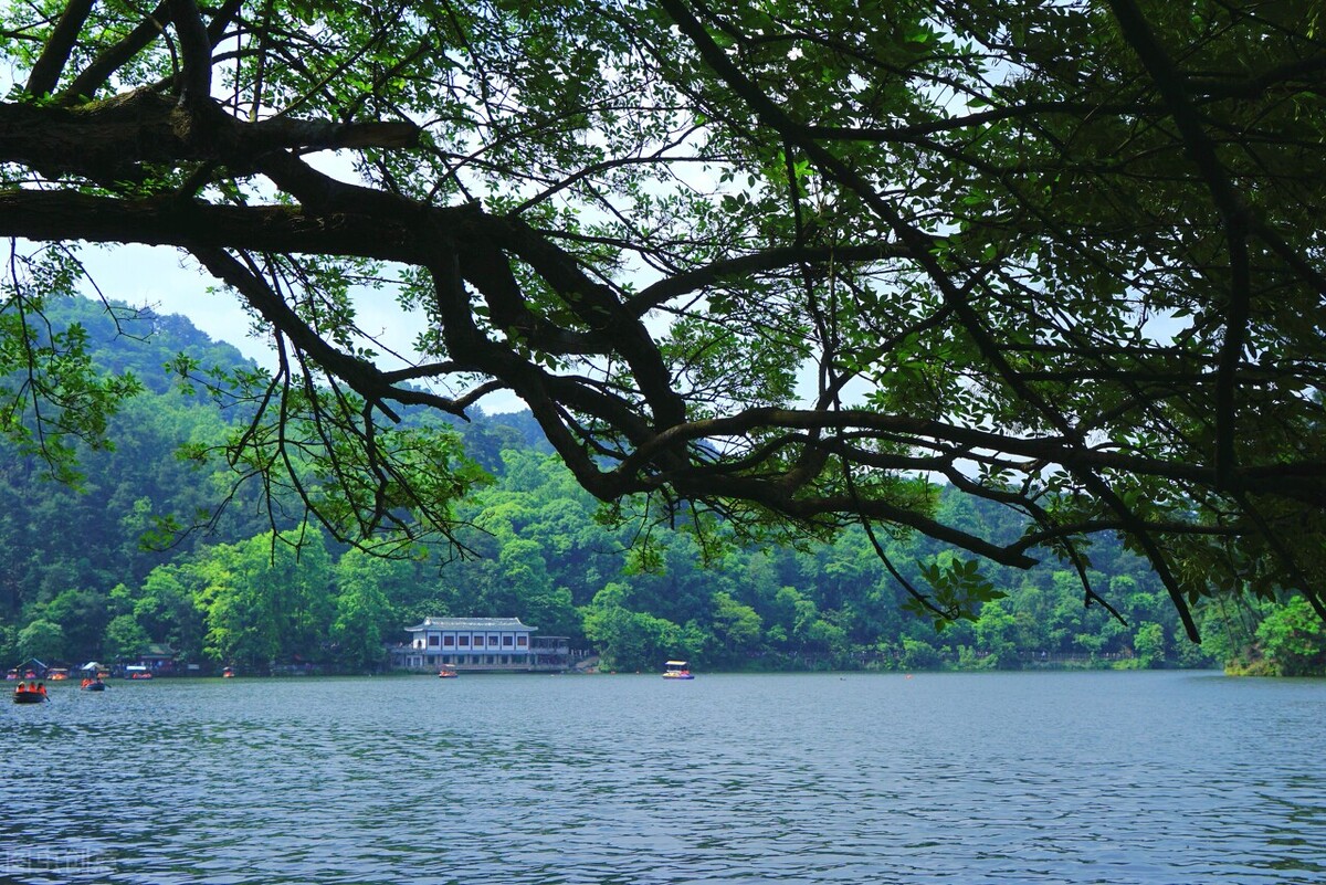 贵州旅游又有大动作啦！针对8省份游客免门票