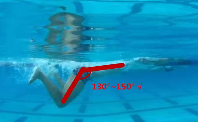 不克服这三个腿姿错误，蛙泳怎么会游得快？