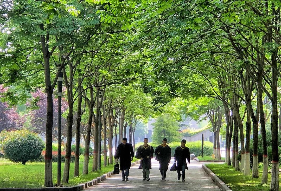 西安石油大学，一所性价比