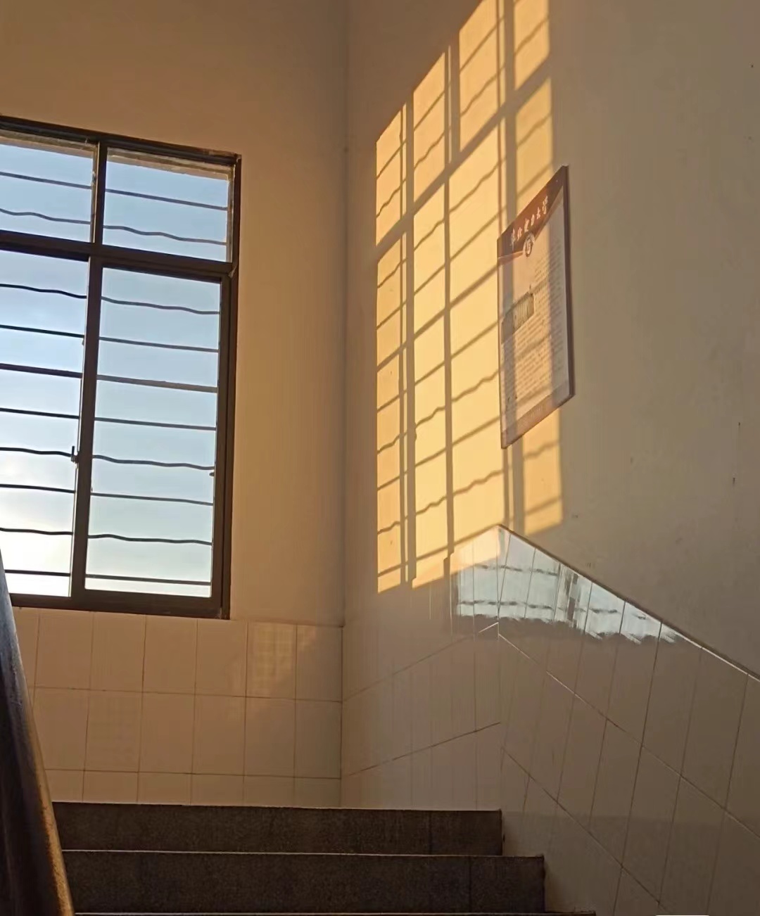 “白日莫空过，青春不再来”青葱校园时光 你是否还记得？