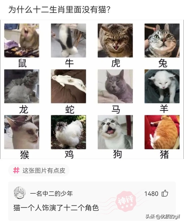 神回复：​友友们，分手了，一人说一句安慰我的话