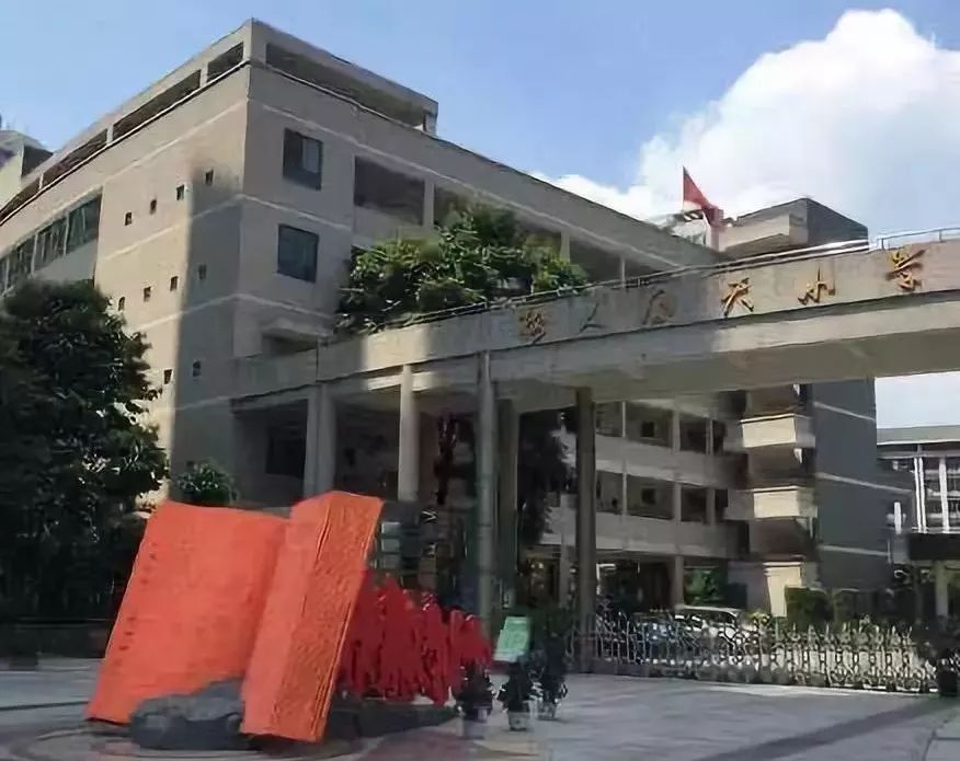 套路太深！个个都叫树人小学，又有几个是真的？