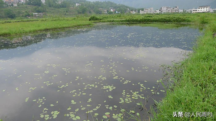 “川农大”的扶贫路