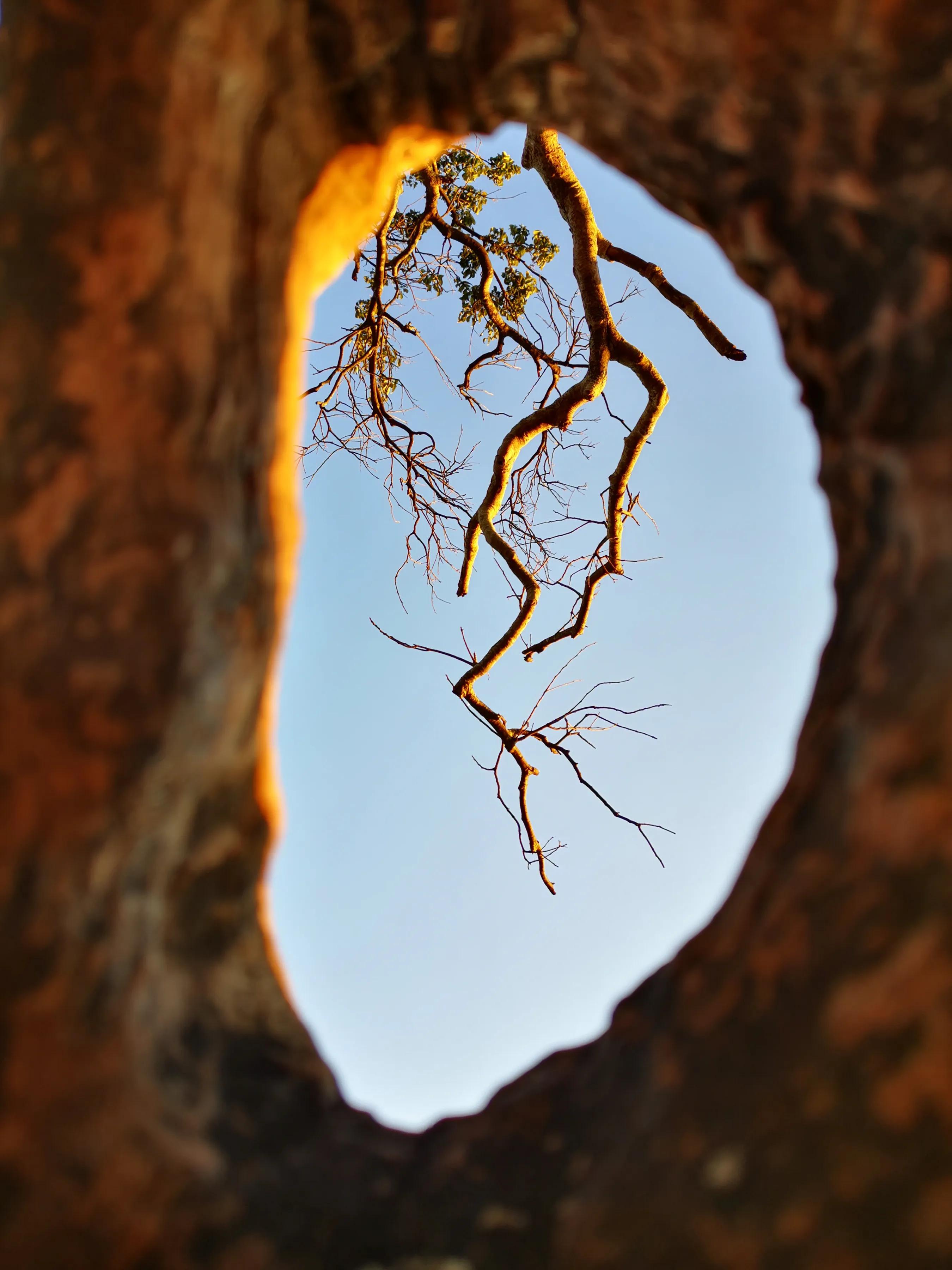 手拍世界（手机摄影平台）-群员作品集（总第733期）