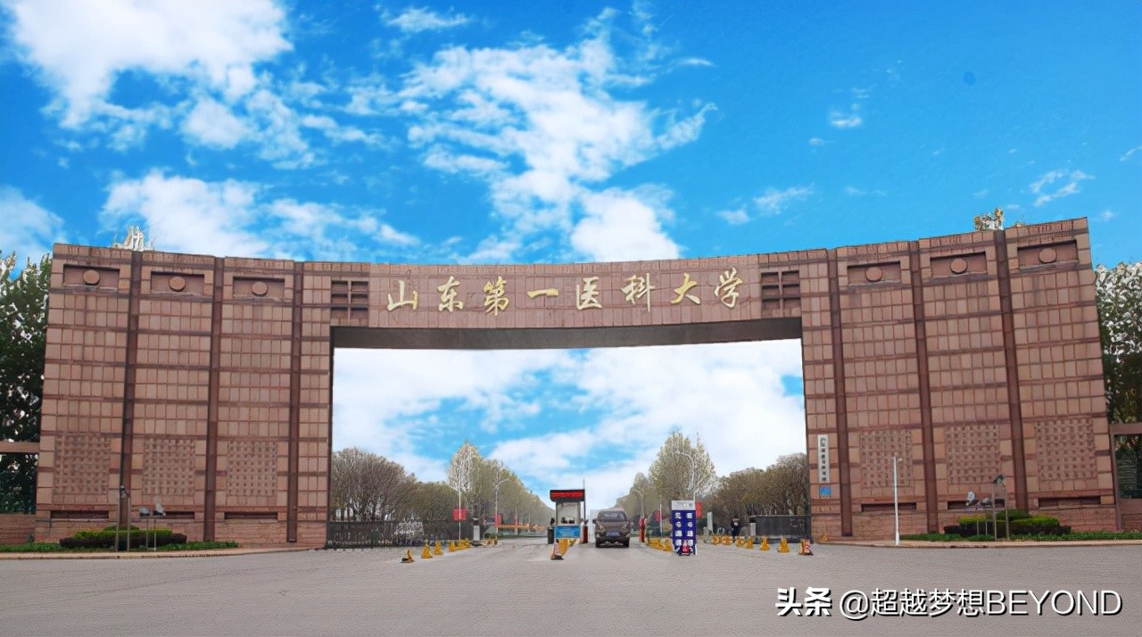 山东有医学专业的学校（山东第一医科大学2021年山东省各专业录取分数统计）