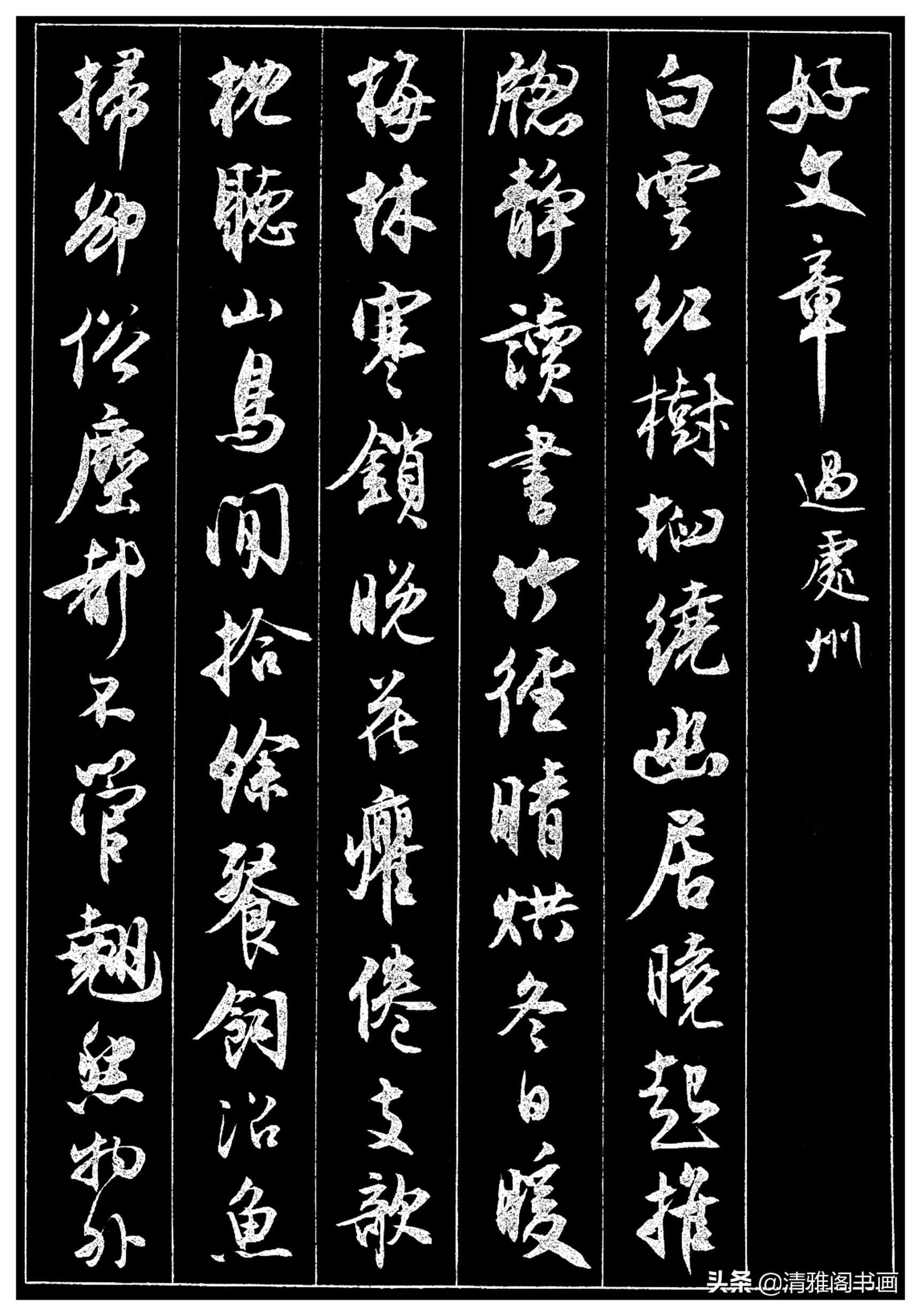 北京大学不愧是培养时间人才 的摇篮，校长的书法，堪比赵孟頫