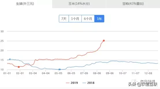 猪价上涨，国五条支持农户养猪；猪企半年度业绩发布，谁最强？