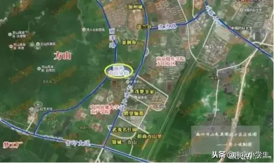 细数南外家族，分校遍地开花，究竟孰亲孰疏？