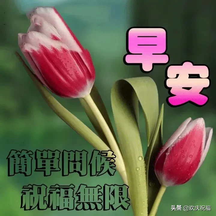 天外有天，人上有人，淡泊明志，宁静致远。早安