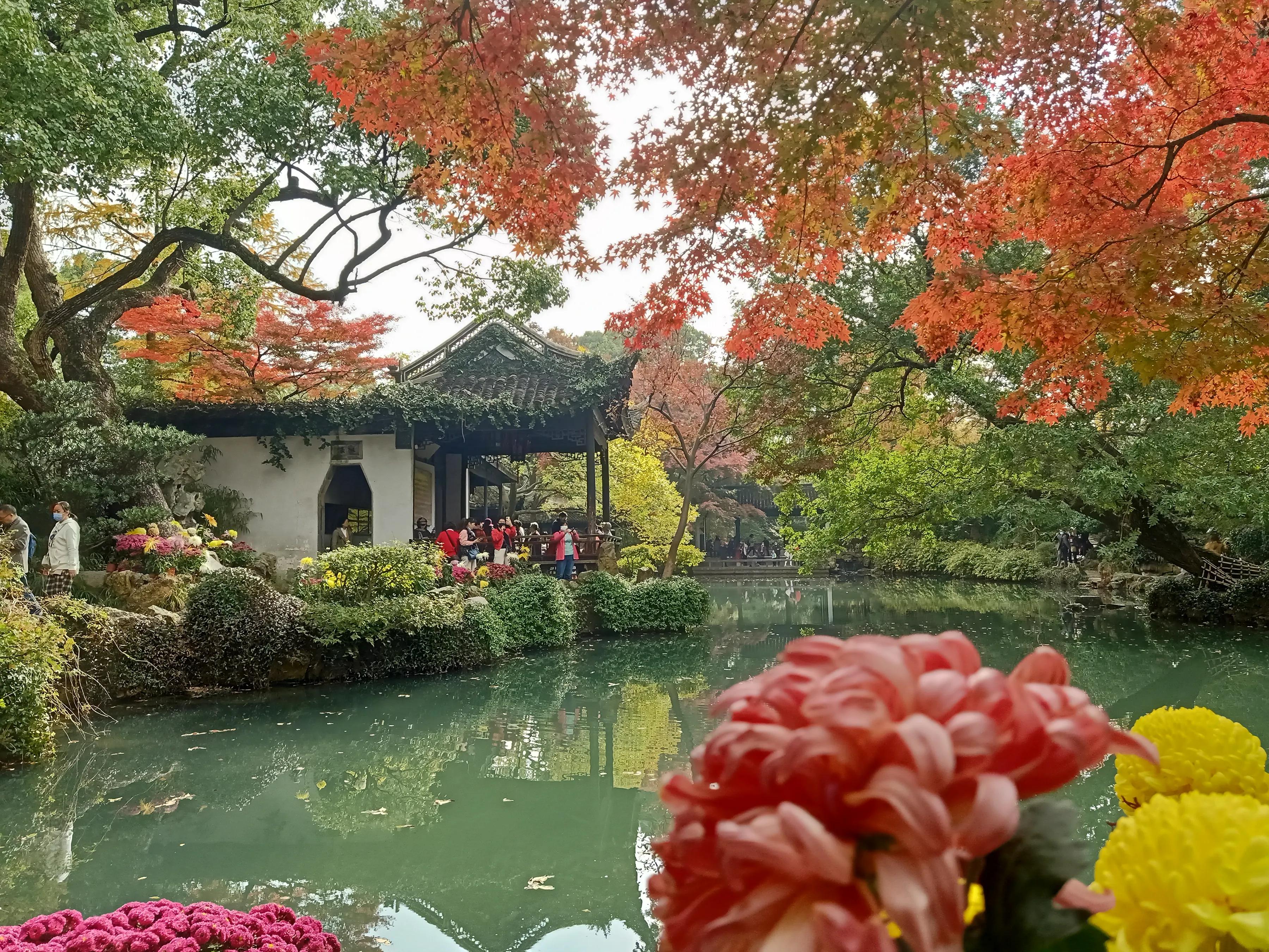 手拍世界（手机摄影平台）-群员作品集（总第733期）