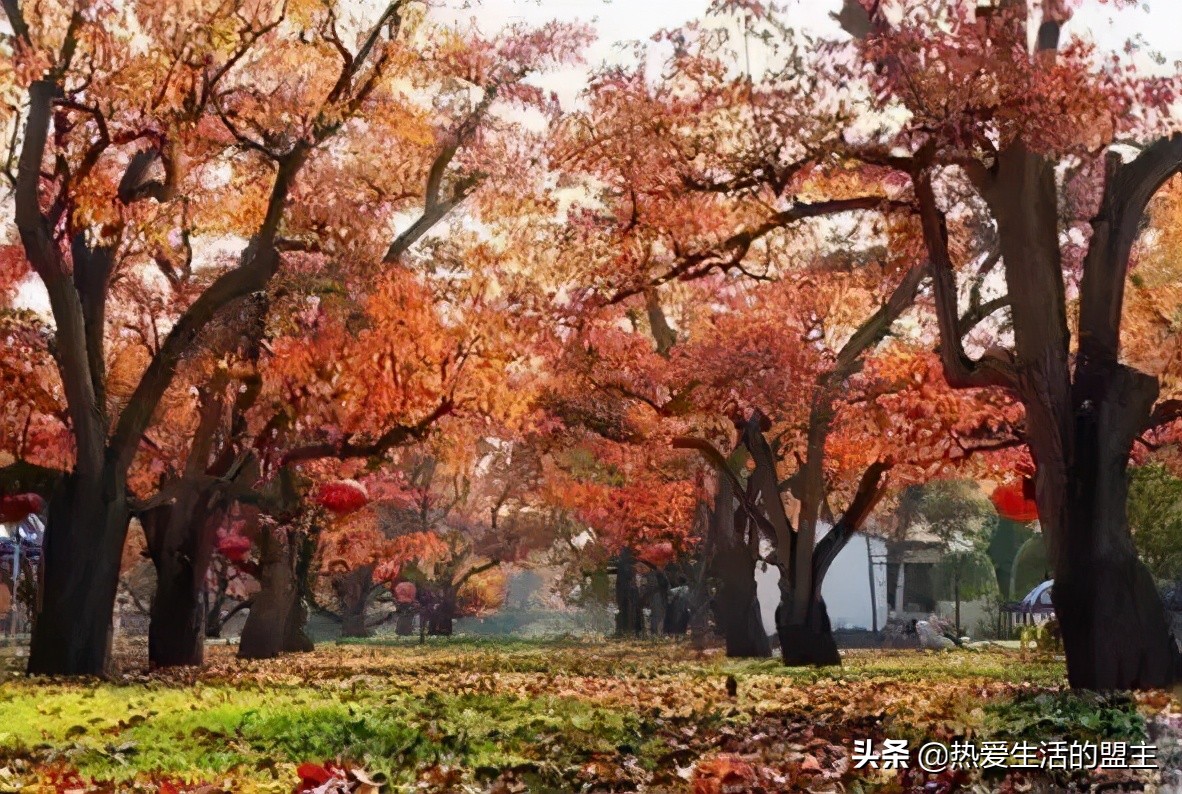 甘肃旅游纯干货分享，攻略 时间 行程 线路 预算，一看就懂