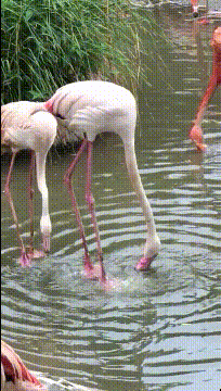 每日一笑：原来大学女生宿舍是这样子啊，真是超乎想象