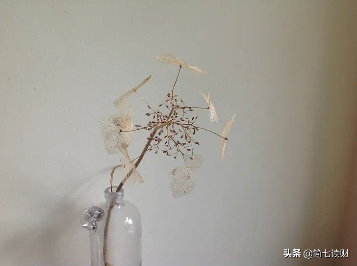 每月投一千，30年收入200万？| 学员自述