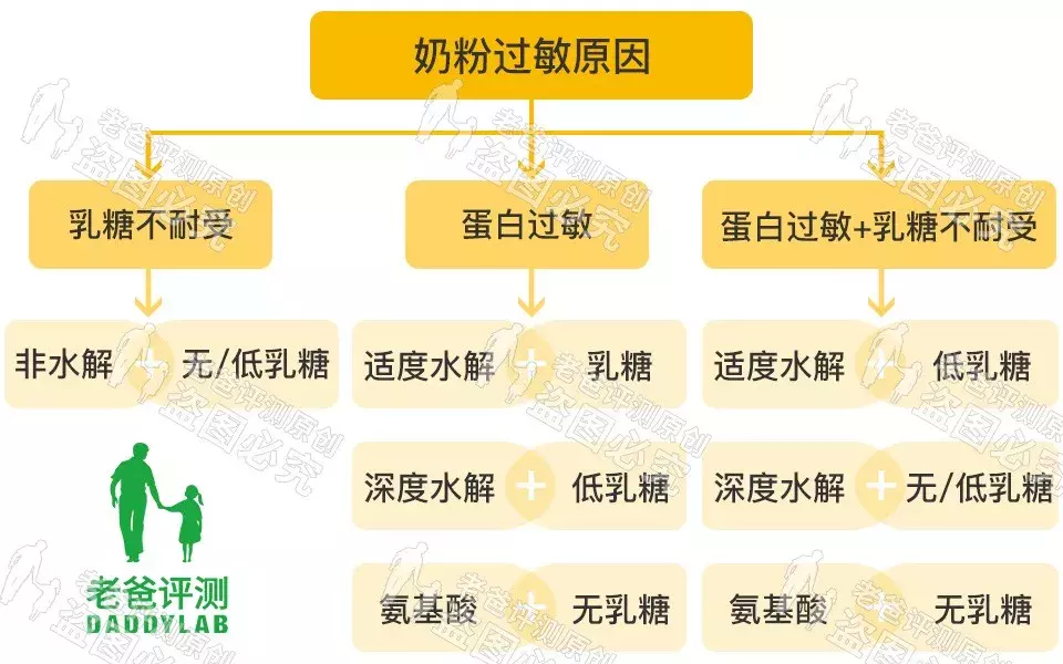 宝宝乳糖不耐适用的部分水解奶粉排行榜推荐