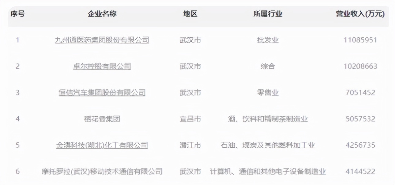 湖北最大民企九州通：仅成立21年年入1100亿，恒信汽车也不是对手