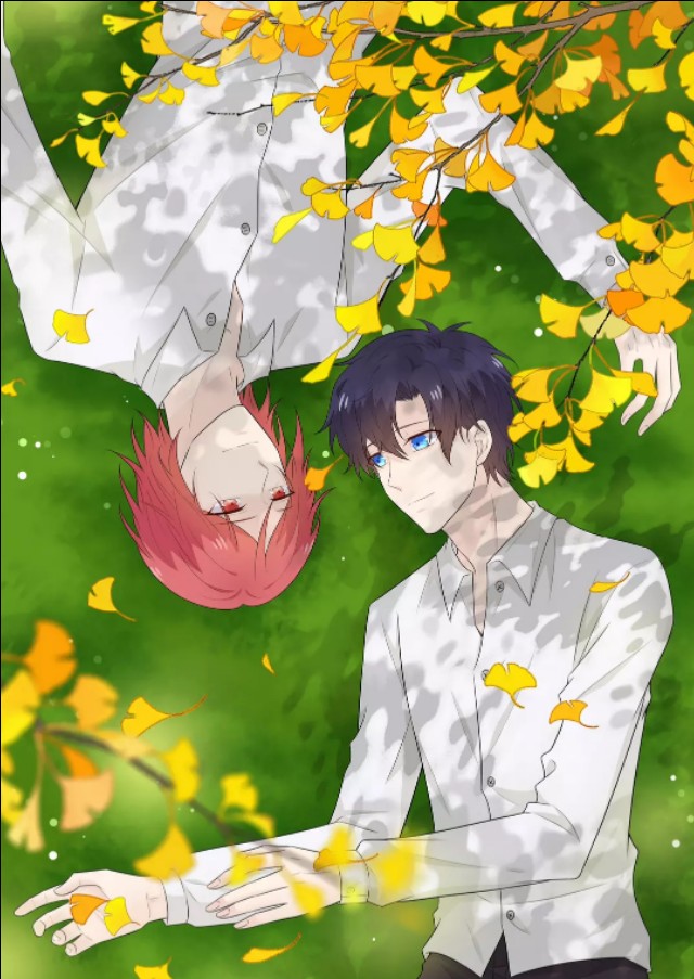 耽美漫画推荐（一)：画风绝美!亲身试水!撞头安利!入股不亏!