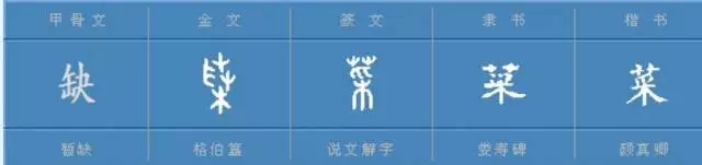 千字文详解「菜」