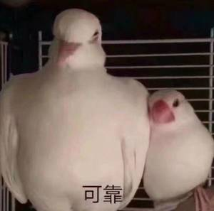 我的录取通知书什么时候才能收到？