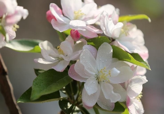 天津大学2017-2019年硕士研究生入学考试初试进入复试基本分数