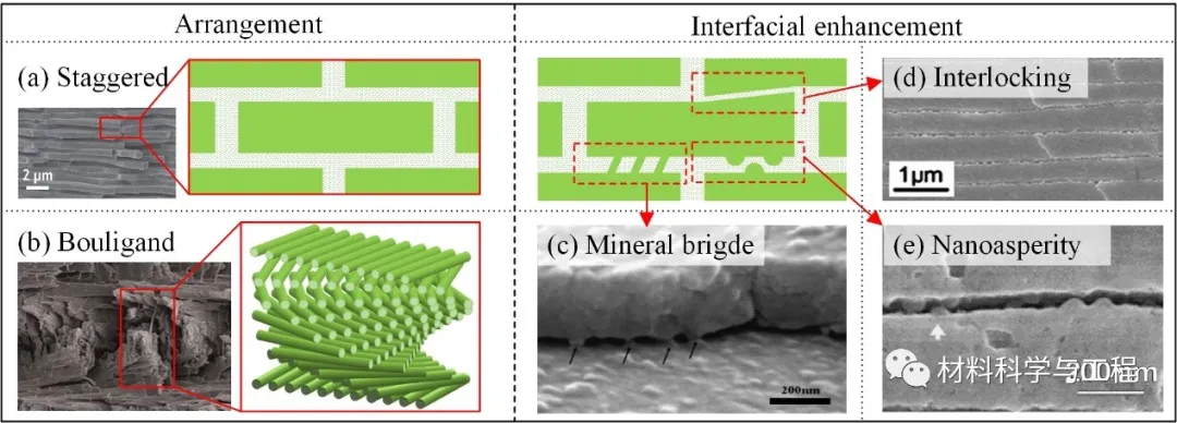北航-武大-清华联手发顶刊综述:多层级复合材料力学研究进展
