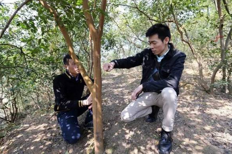 秦玥飞：放弃百万高薪回国当村官，月薪一千没房没车，是失败吗？