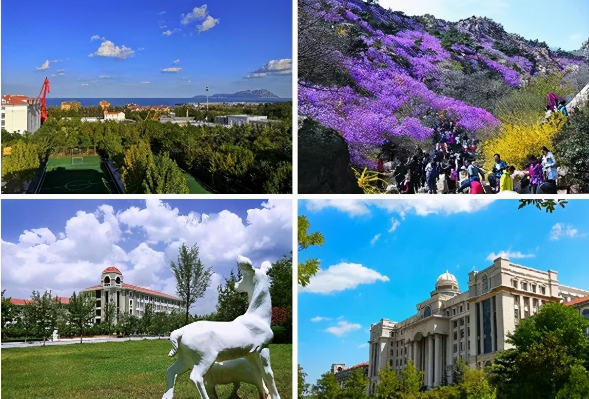 全国27个省份考生志愿填报大全 | 青岛港湾职业技术学院欢迎您