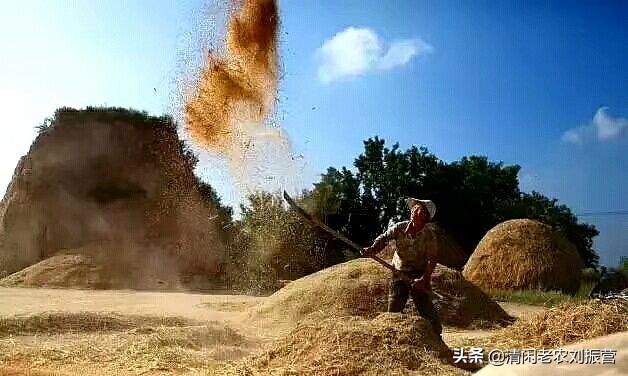 跨区机收是我国农机化一道永远亮丽的风景