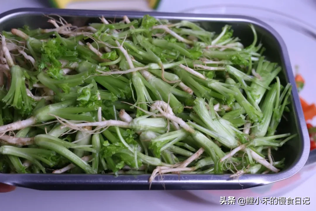 香菜根如何腌制好吃（腌成小咸菜每餐来一点解腻又美味）