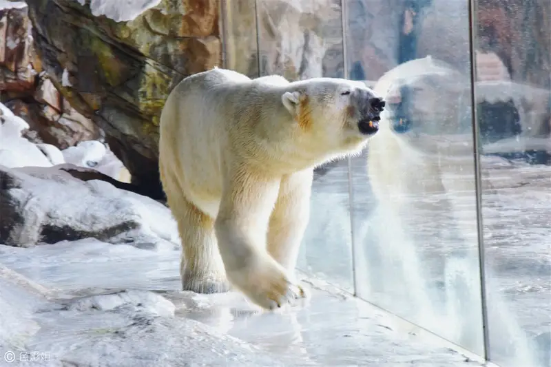 长隆欢乐世界旅游攻略景点必去（三天三夜欢乐长隆之旅）