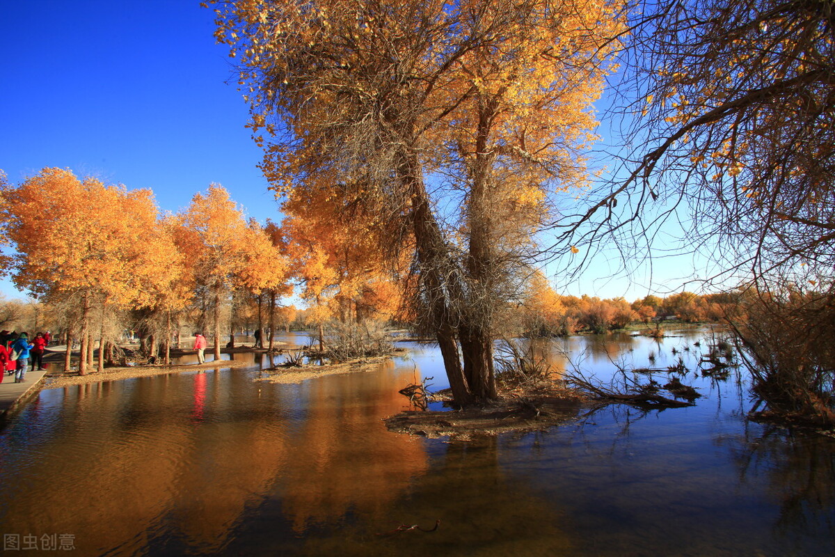 国内最美的秋色都在内蒙古，这个秋天一定要打卡，错过再等一年插图9