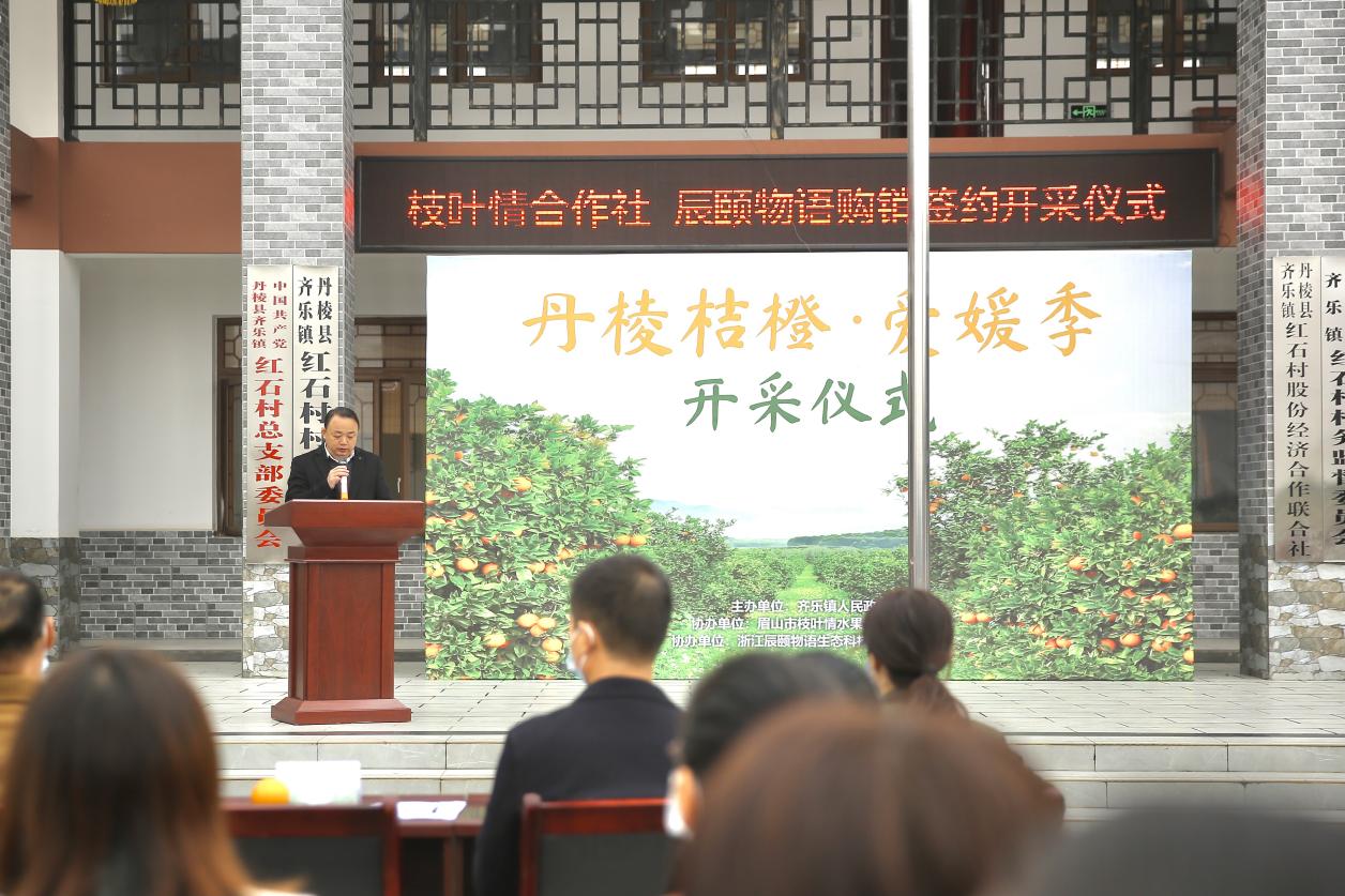六小時爆賣五十五萬單！辰頤物語助力丹棱愛媛橙“甜滿中國”