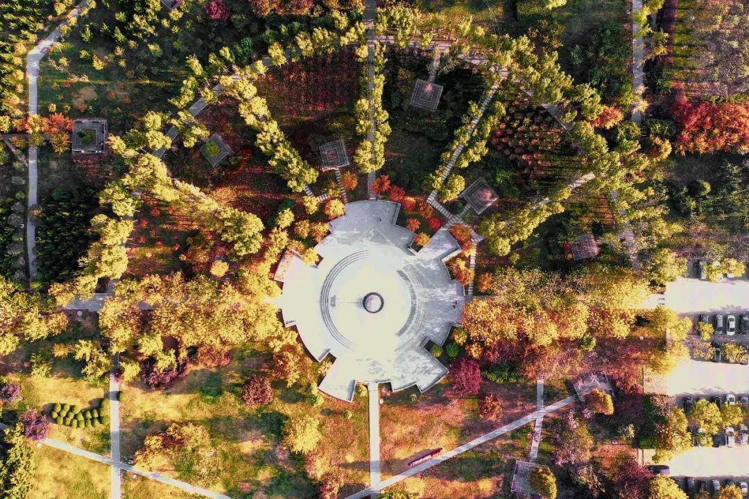 宝藏图书馆、网红食堂、四季如画的超美校园！中国石油大学（华东）等你回家