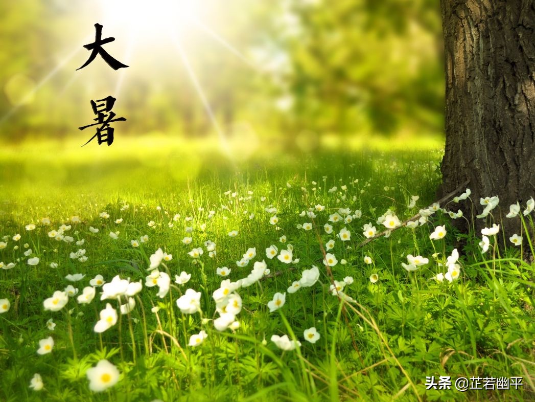 烈日炎炎，大暑时节酷热难耐