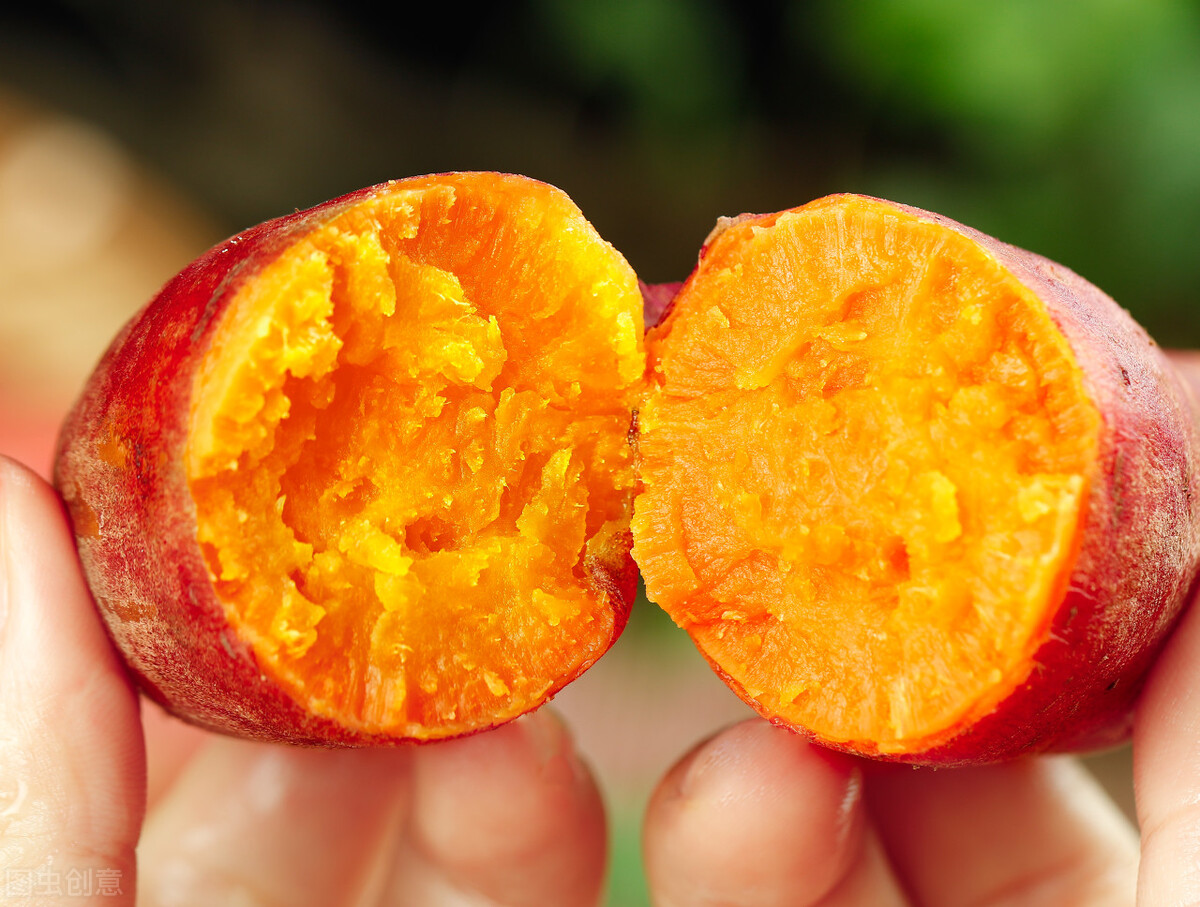 乳腺增生图片(乳腺有增生) - 赤虎壹号