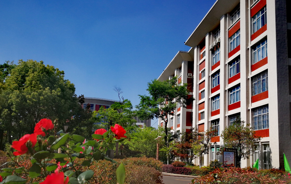 云南“令人惊艳”的高中，一本升学率达92.16%，其中15人考上清北