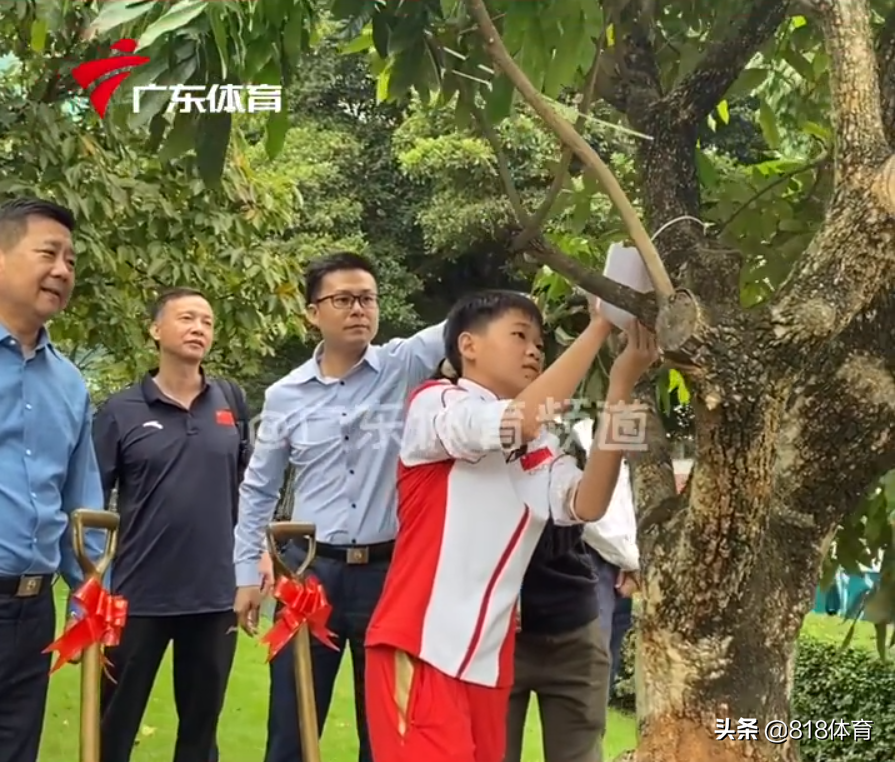 穷人的孩子早当家!全红婵重点高中种冠军树,培土浇水干活干净利落