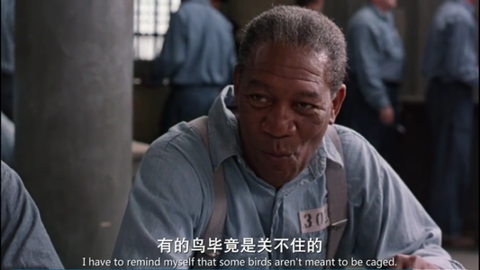 上映时票房惨败，如今却被视为经典的10部电影，你看过哪几部？