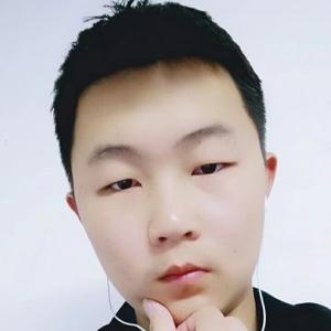 FZ枫叶
