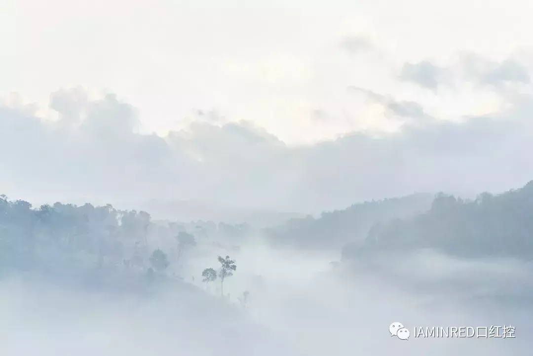 人间不值得？可是还有一万块的面霜等着我！
