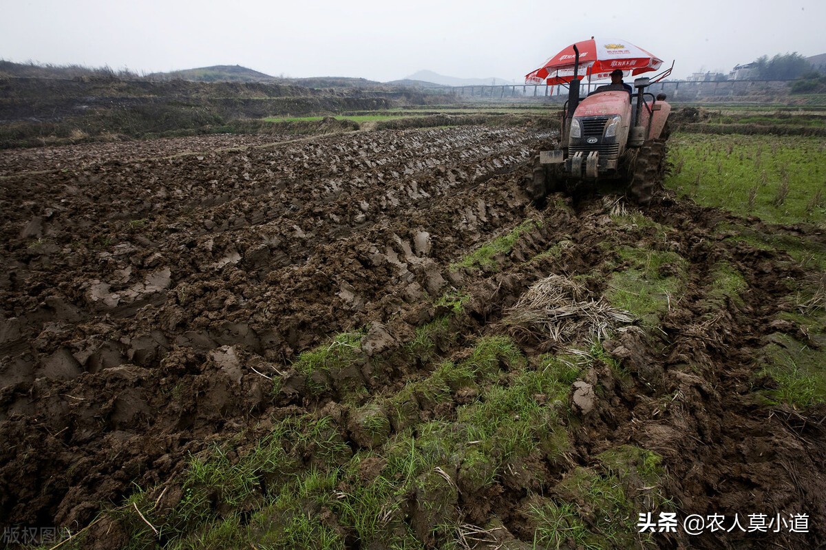 现在农村里面土地流转价格，大概在什么价位？低于300块，合理不