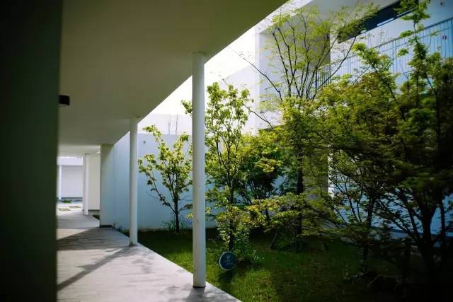 魔都上海这些年，适合翻拍流星花园的私立学校：颜值高，学生棒！