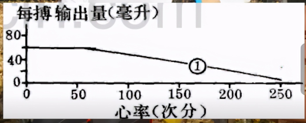怎样跑才能降心率？按心率跑，而非配速